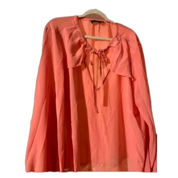 NWT Eloquii light peach xolors sheer lantern sleeves blouse  size 24 🧡🧡🧡 OB - Picture 3 of 5